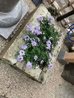 山蒼稲荷神社(神奈川県)