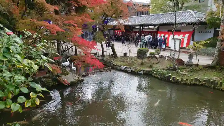 禅林寺(永観堂)の{uncategorized: "未分類", other: "その他", undefined: "問題あり", building: "その他建物", grave: "お墓", sacred_gate: "鳥居", guardian: "狛犬", statue: "像", buddha: "仏像", history: "歴史", nature: "自然", garden: "庭園", animal: "動物", pagoda: "塔", temizu: "手水舎", mountain_gate: "山門・神門", sanctuary: "本殿・本堂", subordinate: "末社・摂社", art: "芸術", scenery: "景色", jizo: "地蔵", ema: "絵馬", goshuin: "御朱印", omikuji: "おみくじ", items: "授与品その他", amulet: "お守り", goshuincho: "御朱印帳", eats: "食事", festival: "お祭り", votive_dance: "神楽", shichigosan: "七五三参", wedding: "結婚式", experience: "体験その他", initially: "初詣", around: "周辺", anti_infection: "感染症対策"}