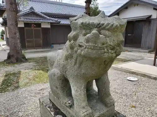 嶋姫神社の狛犬