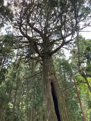 若王子神社の歴史