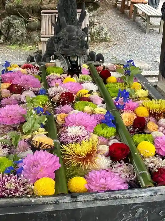 柳谷観音 楊谷寺(京都府)