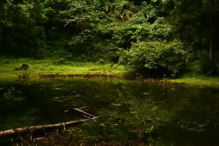 郡殿の池弁財天社(新潟県)