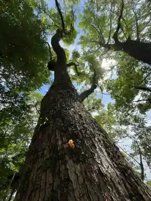 若宮神明社(愛知県)