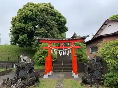 椎名神社の鳥居