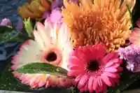 豊景神社の手水舎