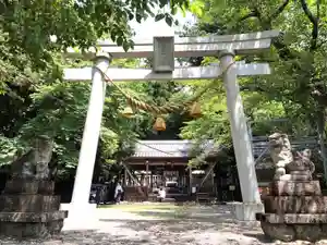 天鷹神社(岐阜県)(2024年07月02日(火) 11時43分35秒投稿)