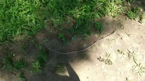 酒門神社(茨城県)
