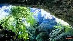 天岩戸神社の自然