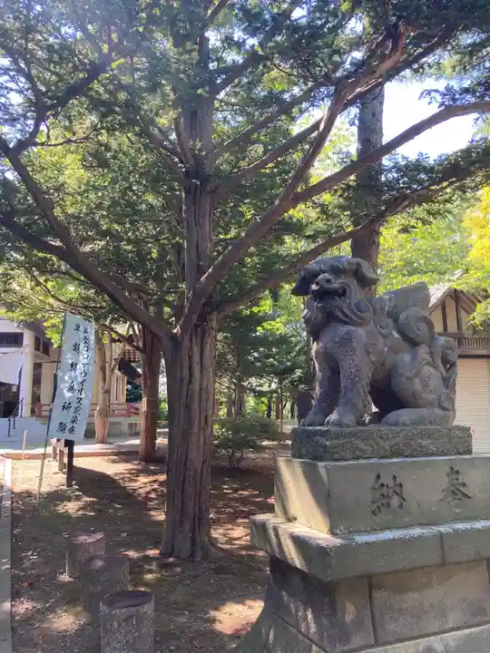 北広島市総鎮守 廣島神社の狛犬
