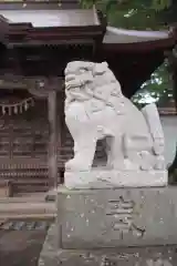 須賀神社の狛犬