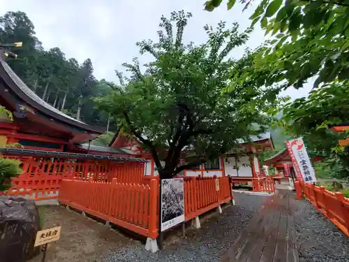 金櫻神社の庭園