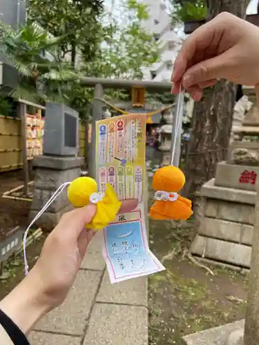 高円寺氷川神社のおみくじ