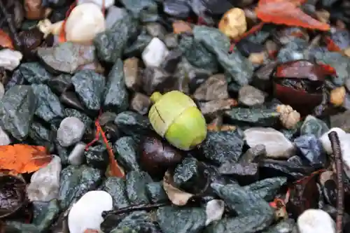 阿邪訶根神社の自然