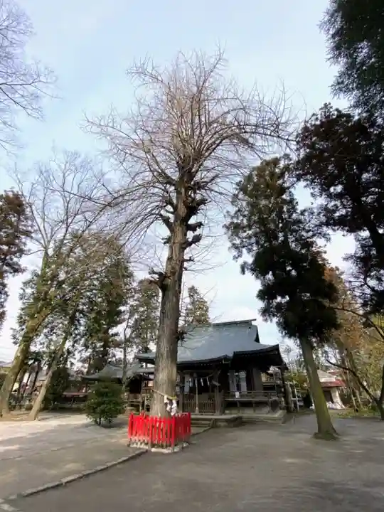 八坂神社(葛生町)のその他建物