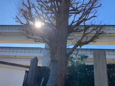 勧行寺(神奈川県)