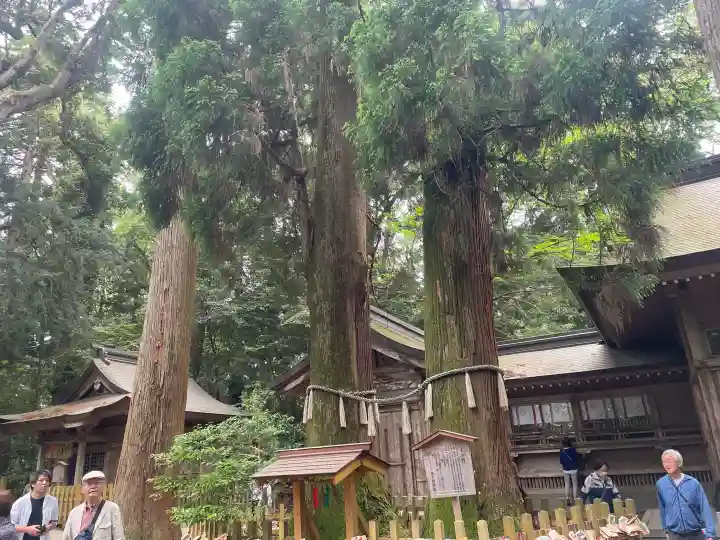 高千穂神社の{uncategorized: "未分類", other: "その他", undefined: "問題あり", building: "その他建物", grave: "お墓", sacred_gate: "鳥居", guardian: "狛犬", statue: "像", buddha: "仏像", history: "歴史", nature: "自然", garden: "庭園", animal: "動物", pagoda: "塔", temizu: "手水舎", mountain_gate: "山門・神門", sanctuary: "本殿・本堂", subordinate: "末社・摂社", art: "芸術", scenery: "景色", jizo: "地蔵", ema: "絵馬", goshuin: "御朱印", omikuji: "おみくじ", items: "授与品その他", amulet: "お守り", goshuincho: "御朱印帳", eats: "食事", festival: "お祭り", votive_dance: "神楽", shichigosan: "七五三参", wedding: "結婚式", experience: "体験その他", initially: "初詣", around: "周辺", anti_infection: "感染症対策"}