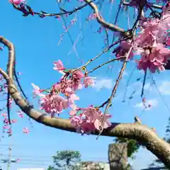 豊景神社の自然