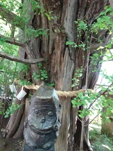 稲毛神社の自然
