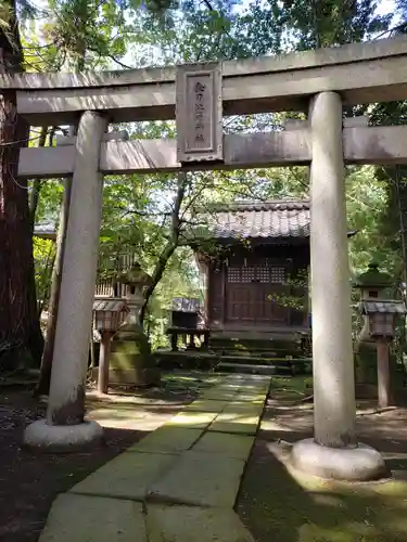 金比羅神社の鳥居