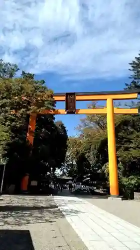 川越氷川神社の鳥居