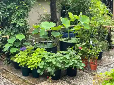 勝林寺(京都府)