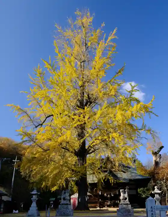 賀羅加波神社(広島県)