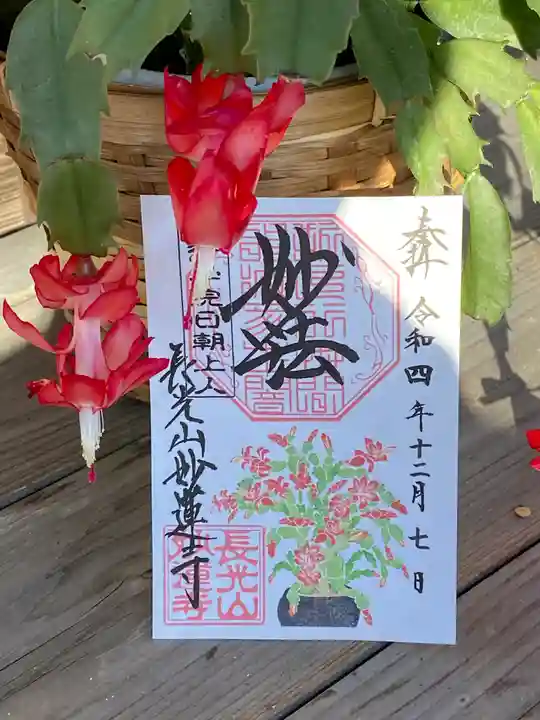 妙蓮寺の御朱印