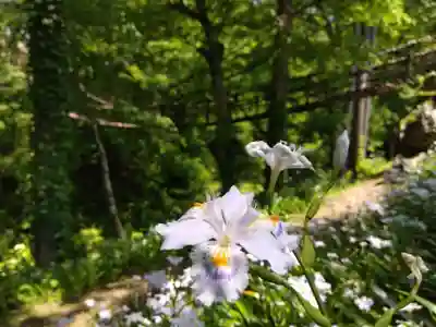 白山神社(福井県)