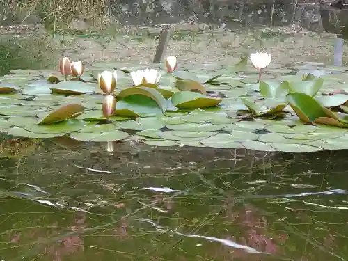 國鉾神社の景色