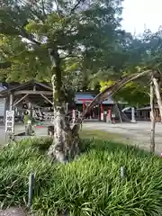 賀茂神社(宮城県)