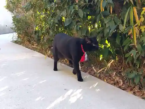 石峯寺(京都府)