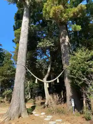 山倉大神の{uncategorized: "未分類", other: "その他", undefined: "問題あり", building: "その他建物", grave: "お墓", sacred_gate: "鳥居", guardian: "狛犬", statue: "像", buddha: "仏像", history: "歴史", nature: "自然", garden: "庭園", animal: "動物", pagoda: "塔", temizu: "手水舎", mountain_gate: "山門・神門", sanctuary: "本殿・本堂", subordinate: "末社・摂社", art: "芸術", scenery: "景色", jizo: "地蔵", ema: "絵馬", goshuin: "御朱印", omikuji: "おみくじ", items: "授与品その他", amulet: "お守り", goshuincho: "御朱印帳", eats: "食事", festival: "お祭り", votive_dance: "神楽", shichigosan: "七五三参", wedding: "結婚式", experience: "体験その他", initially: "初詣", around: "周辺", anti_infection: "感染症対策"}