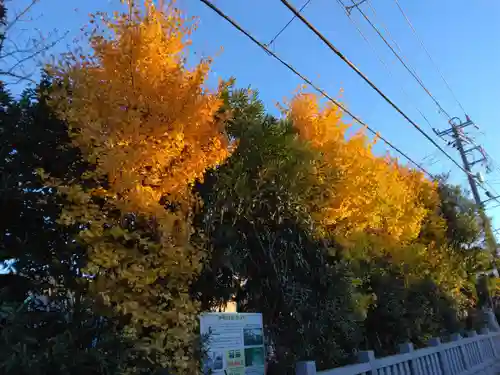矢向日枝神社(神奈川県)