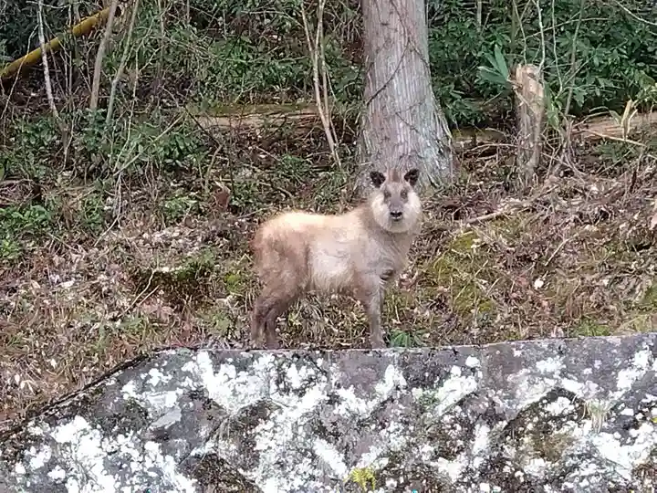 宗猷寺(岐阜県)