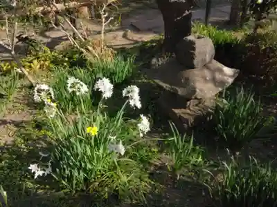 収玄寺(神奈川県)
