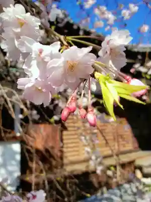 玄国寺(東京都)