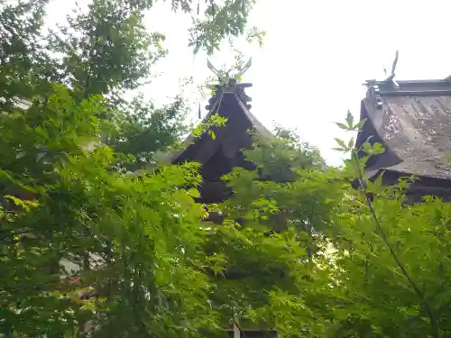 日本第一熊野神社の本殿