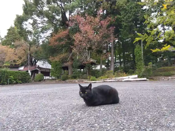 清泰寺(岐阜県)