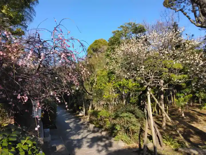 常楽寺(神奈川県)