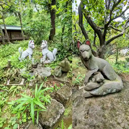 白金氷川神社の狛犬