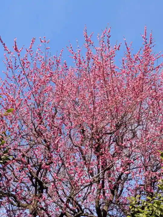 新井天神北野神社(東京都)