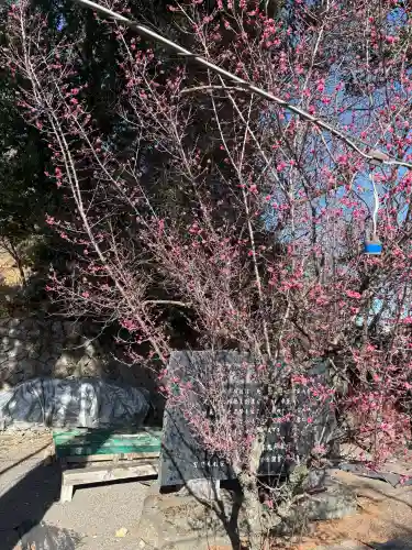 賀茂別雷神社の{uncategorized: "未分類", other: "その他", undefined: "問題あり", building: "その他建物", grave: "お墓", sacred_gate: "鳥居", guardian: "狛犬", statue: "像", buddha: "仏像", history: "歴史", nature: "自然", garden: "庭園", animal: "動物", pagoda: "塔", temizu: "手水舎", mountain_gate: "山門・神門", sanctuary: "本殿・本堂", subordinate: "末社・摂社", art: "芸術", scenery: "景色", jizo: "地蔵", ema: "絵馬", goshuin: "御朱印", omikuji: "おみくじ", items: "授与品その他", amulet: "お守り", goshuincho: "御朱印帳", eats: "食事", festival: "お祭り", votive_dance: "神楽", shichigosan: "七五三参", wedding: "結婚式", experience: "体験その他", initially: "初詣", around: "周辺", anti_infection: "感染症対策"}