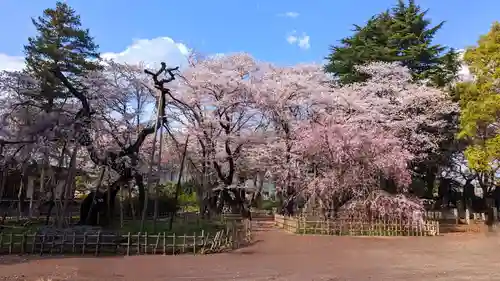 弘法寺の庭園