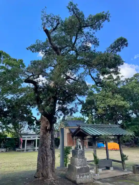 館山神社(千葉県)