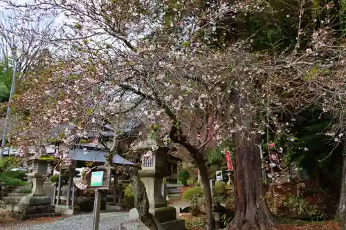 鹿島大神宮の自然