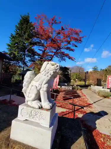 櫻岡大神宮の狛犬