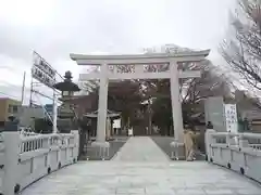 白旗神社の鳥居