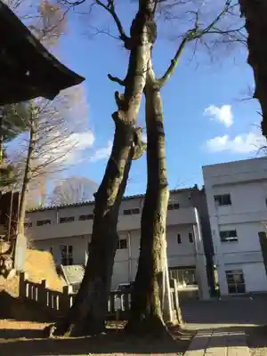 手長神社(長野県)