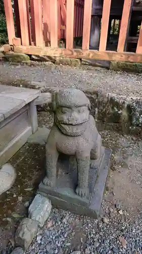 雷電神社の狛犬