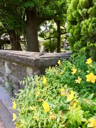 磐井神社の周辺